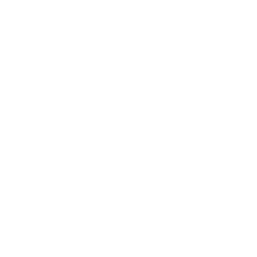 VORA Logo
